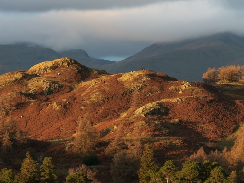 Autumn_on_Loughrigg_Fell-Lake_District