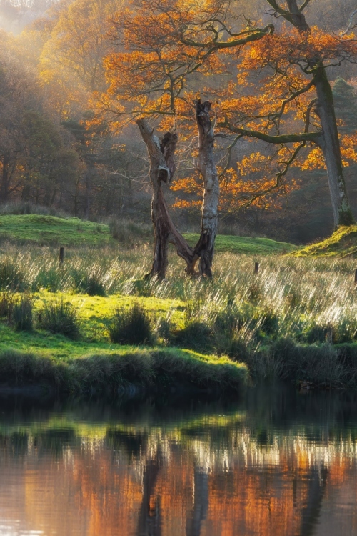 Autumnal_Light-River_Brathay-Lake_District