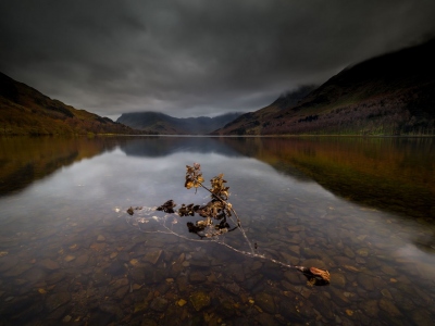 Buttermere_Branch-Lake_District
