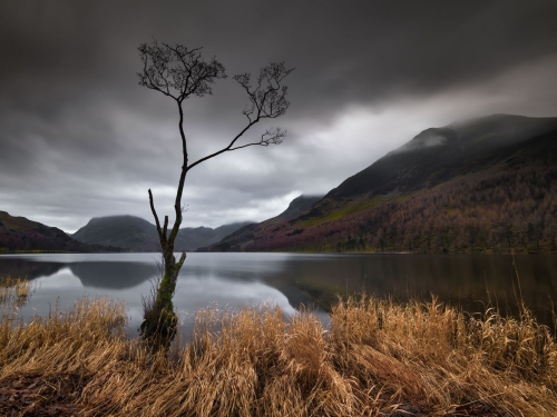 Buttermere_Lone_Tree-Lake_District_02