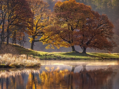 River_Brathay_Autumn-Lake_District_02