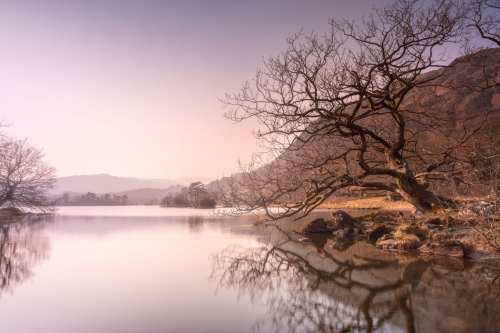 Rydal_Water_Tranquil_Lake_District