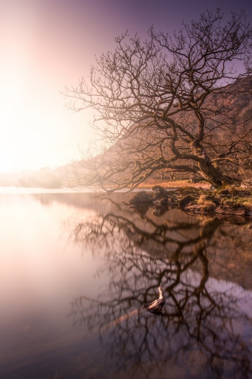 Rydal_Water_Tranquil_Lake_District_02