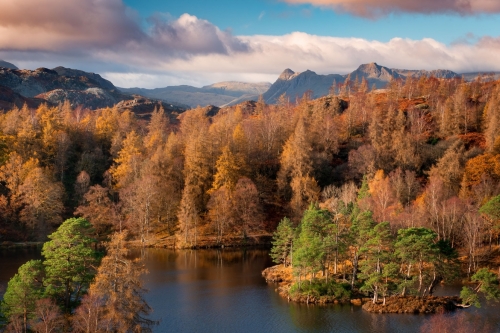 Tarn_Hows_langdale_Pikes_Autumn-Lake_District