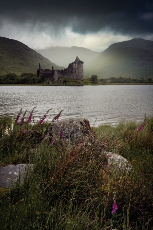Kilchurn_Castle_Foxgloves-Argyll_Scotland