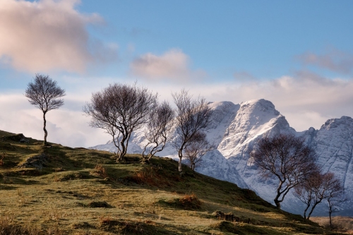 Loch_Slapin_Trees-Isle_of_Skye