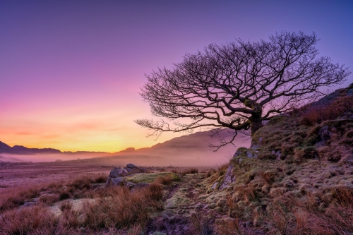 Misty_Sunrise-Snowdonia