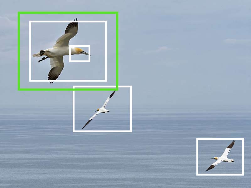 AI-Tracking-example1