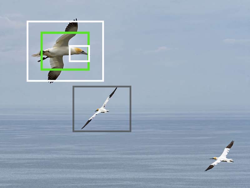 AI-Tracking-example2