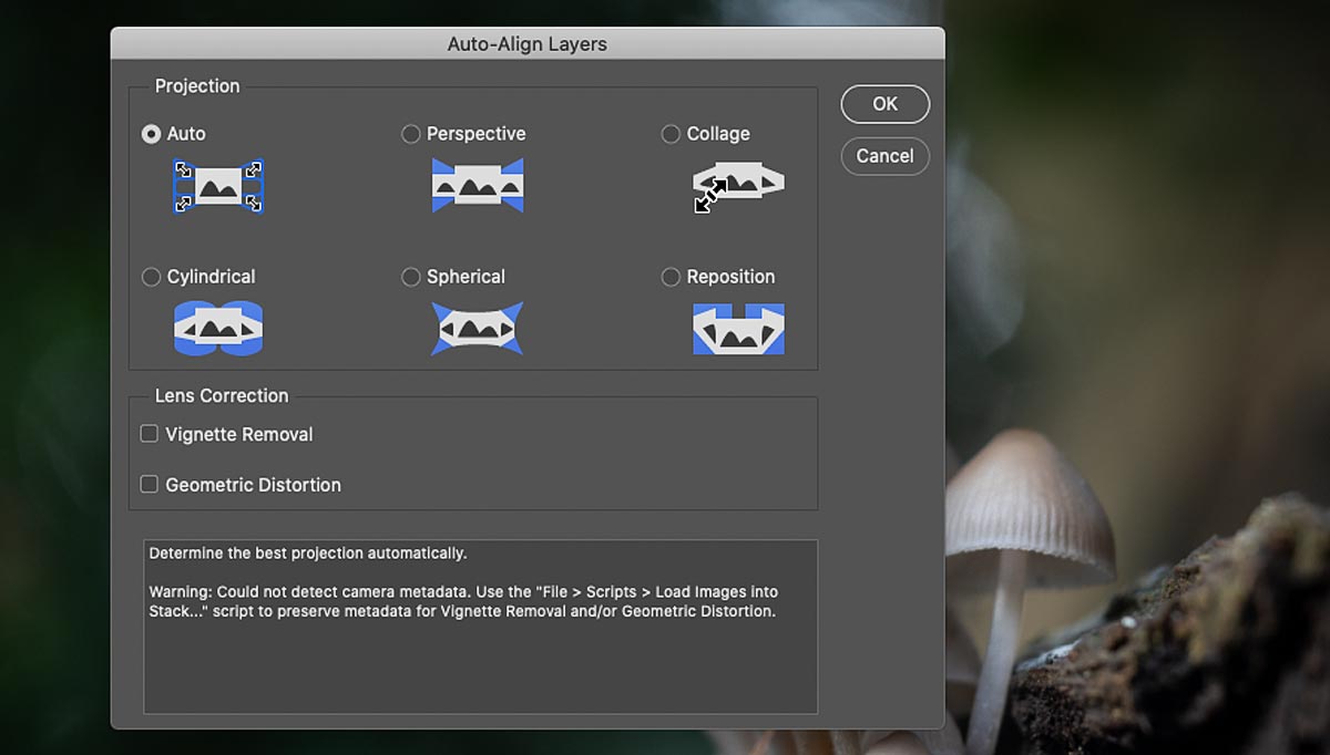 Auto-Align