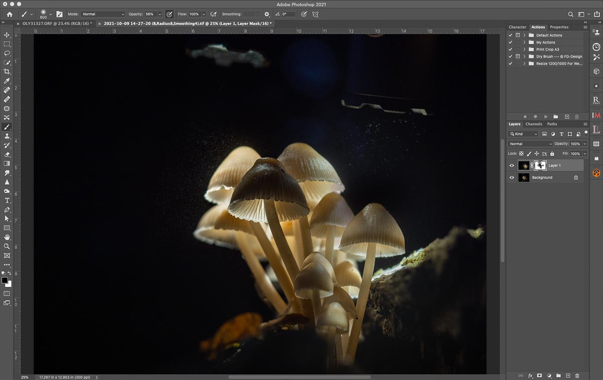 Macro-2sets-illuminated-merged