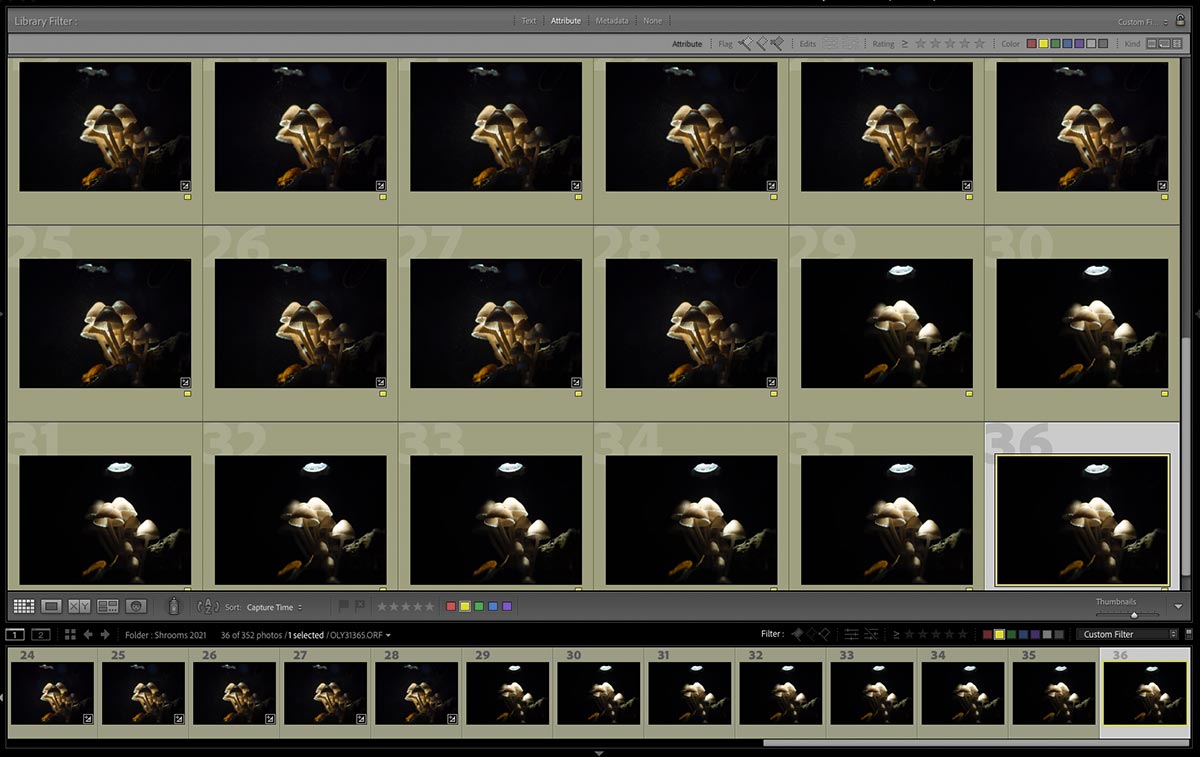 Macro-sets-illuminated