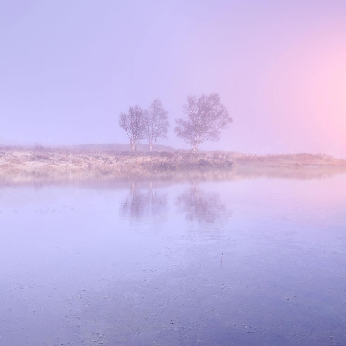 Lakes-derwentwaterpurposeful-2