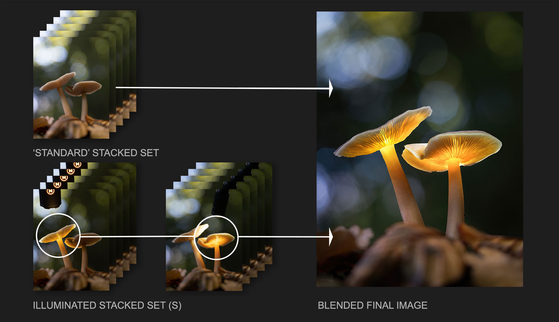 Image-Stacking-Diagram-1800
