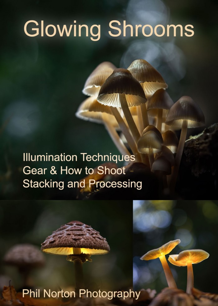 Processing Guides Bundle - Image 4