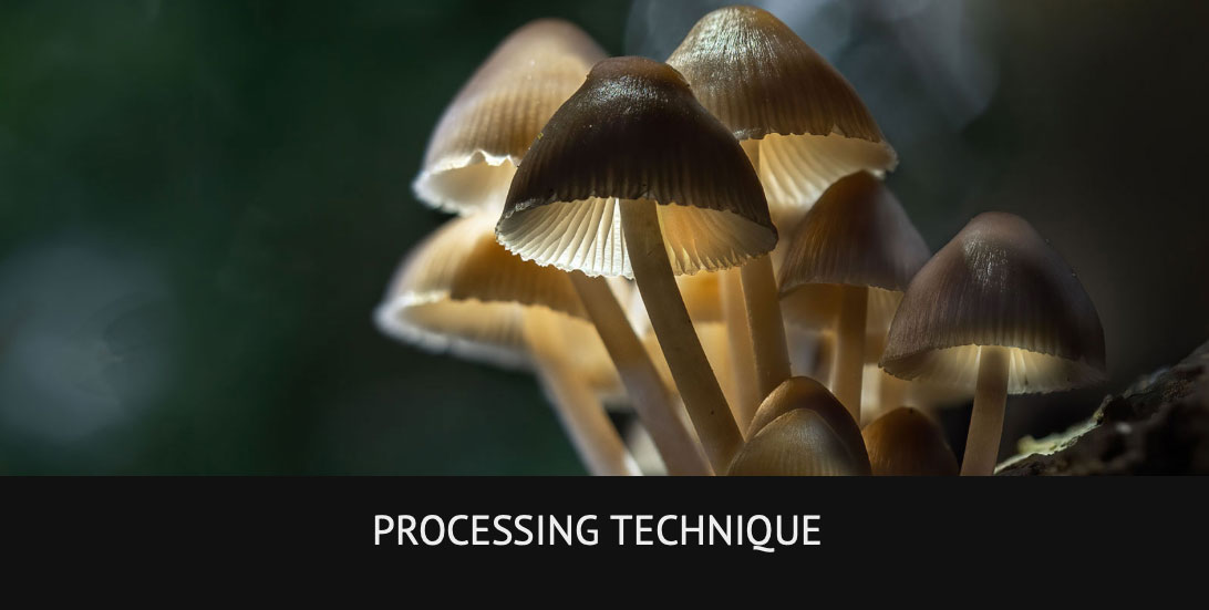 processing-header