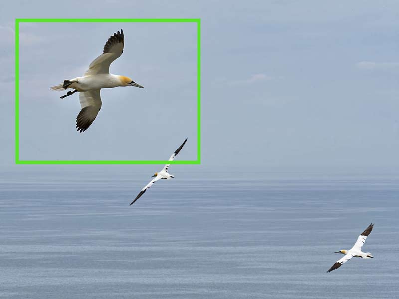 AI-Tracking-target-Large