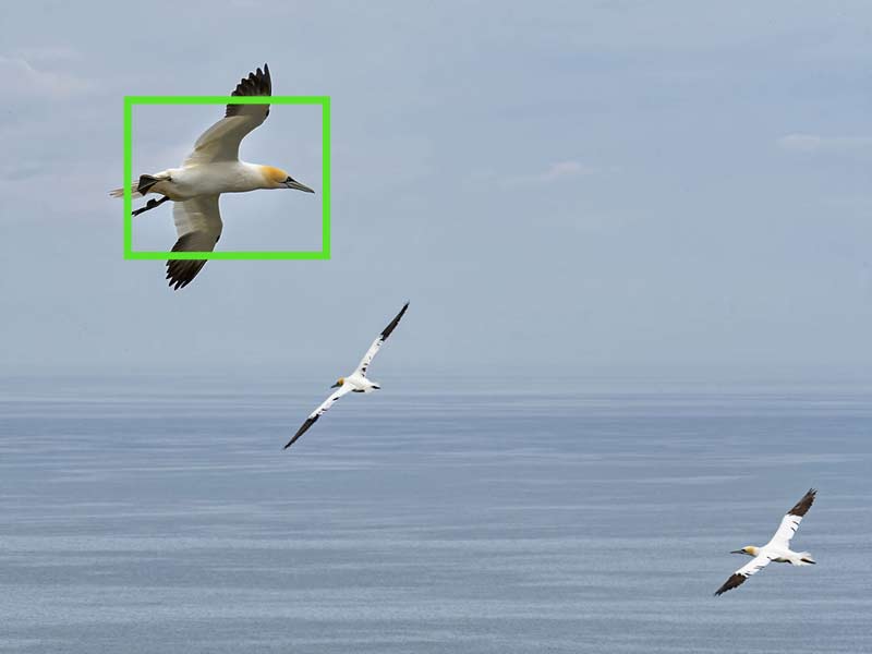 AI-Tracking-target-small