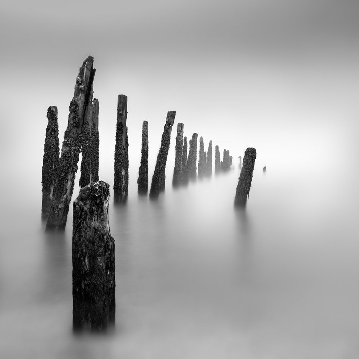 Black and White Minimal Photography Guide - Image 2