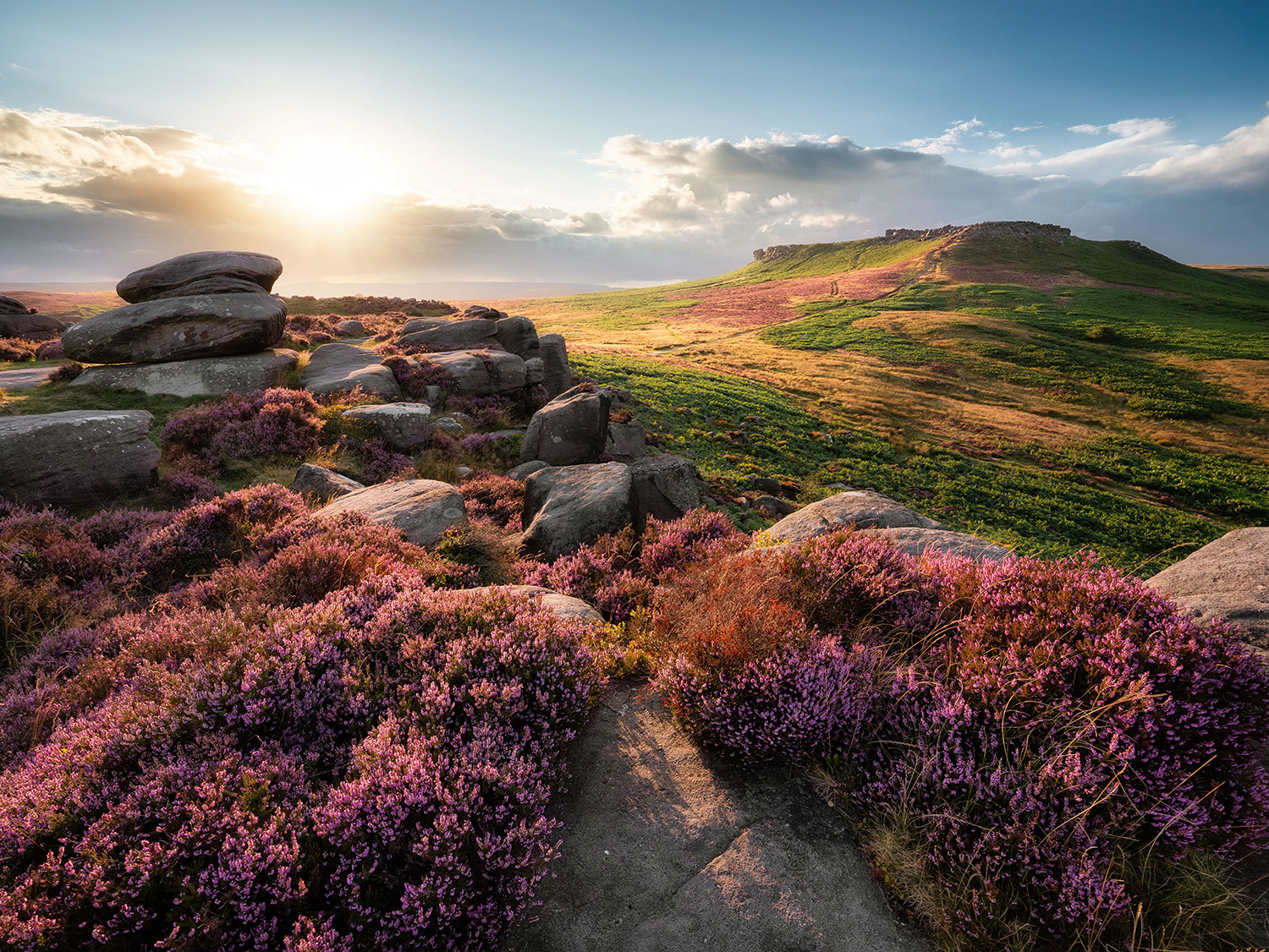 Carl-Wark-Heather-1500