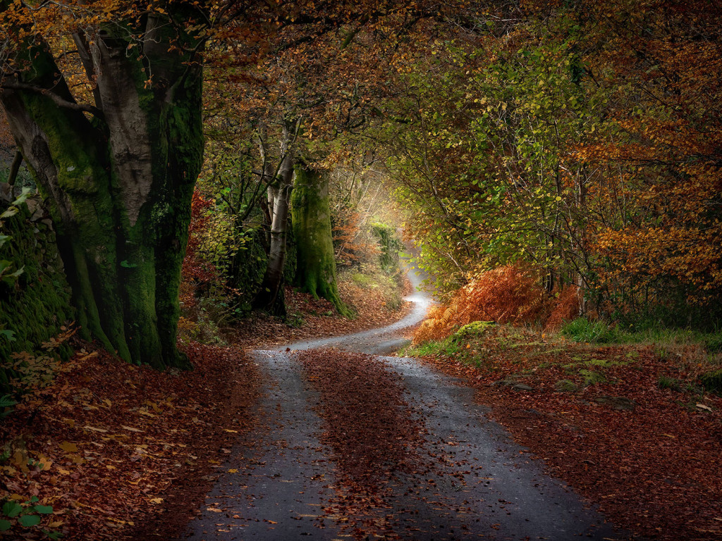 Autumn Path-Clappersgate