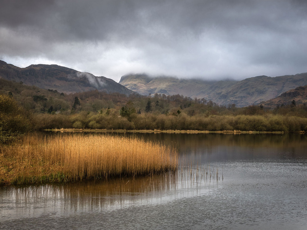 Soft Light on Elterwater