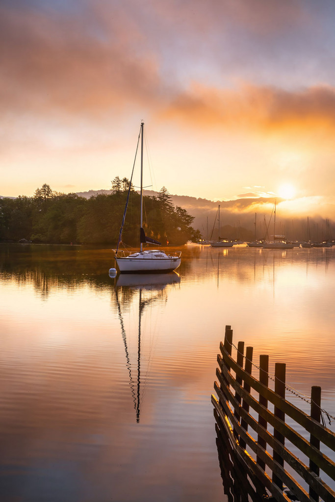 Golden Dawn and Fence Windermere
