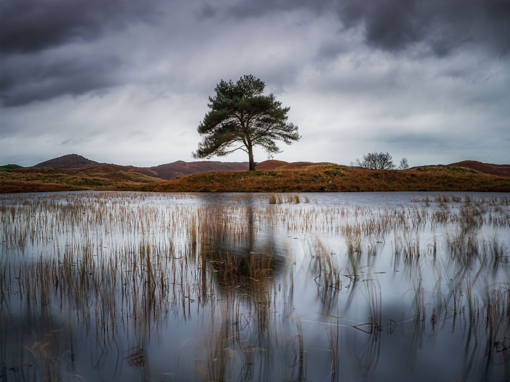 Lone Tree-Kelly Hall Tarn