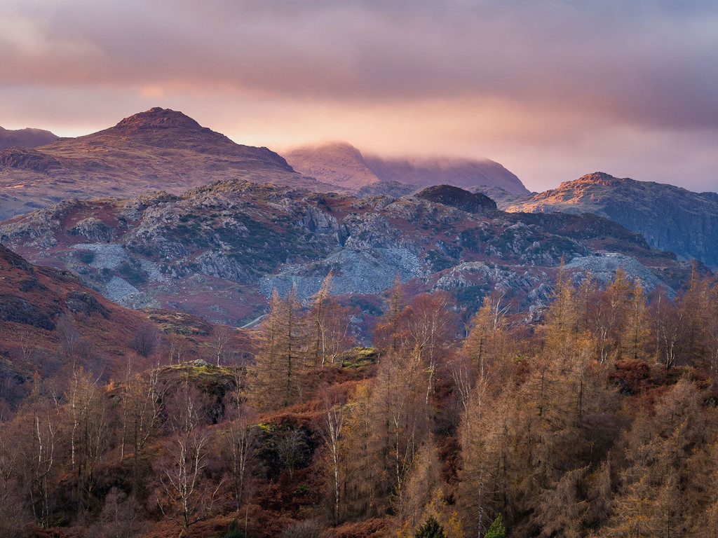 Autumn on Holm Fell-Tarn Hows