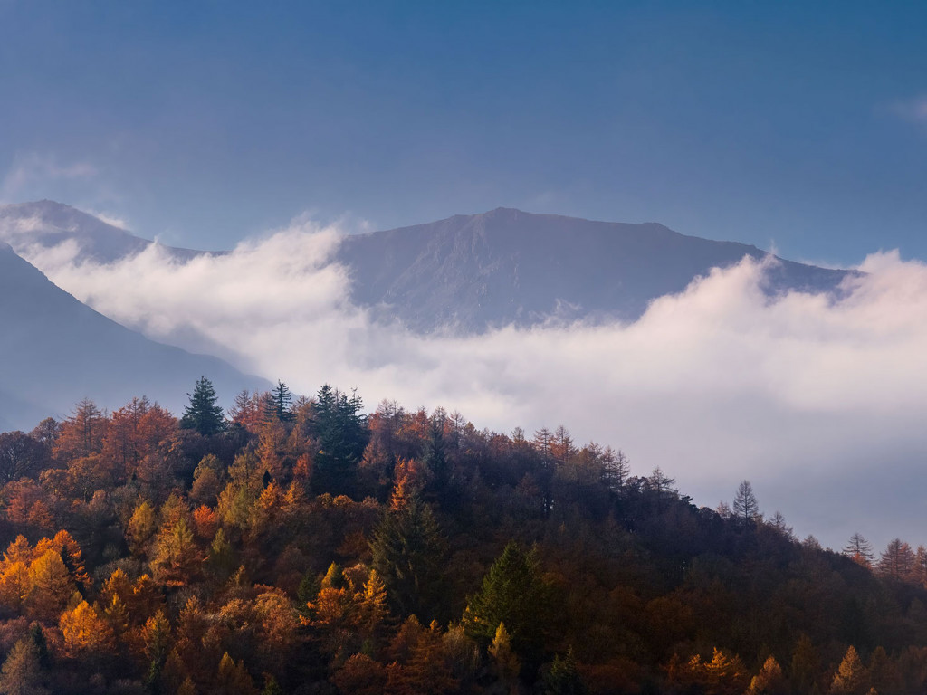 Autumn Trees-Skafell Pike