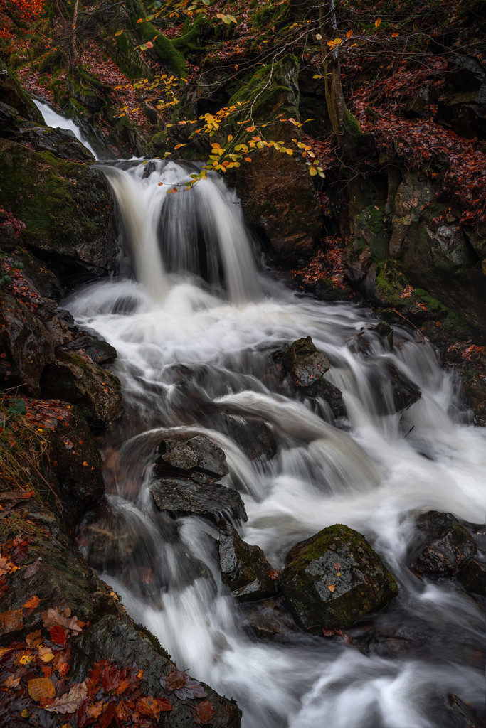 Tom Ghill Force-Tarn Hows