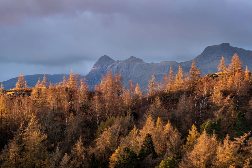 Autumn Light and Langdale Pikes