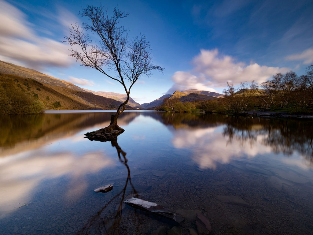 Blue Reflections, Lone Tree Llanberris-Snowdonia (Eryri)