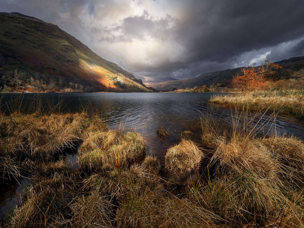 Autumn Light, Llyn Gwynant-Snowdonia (Eryri)