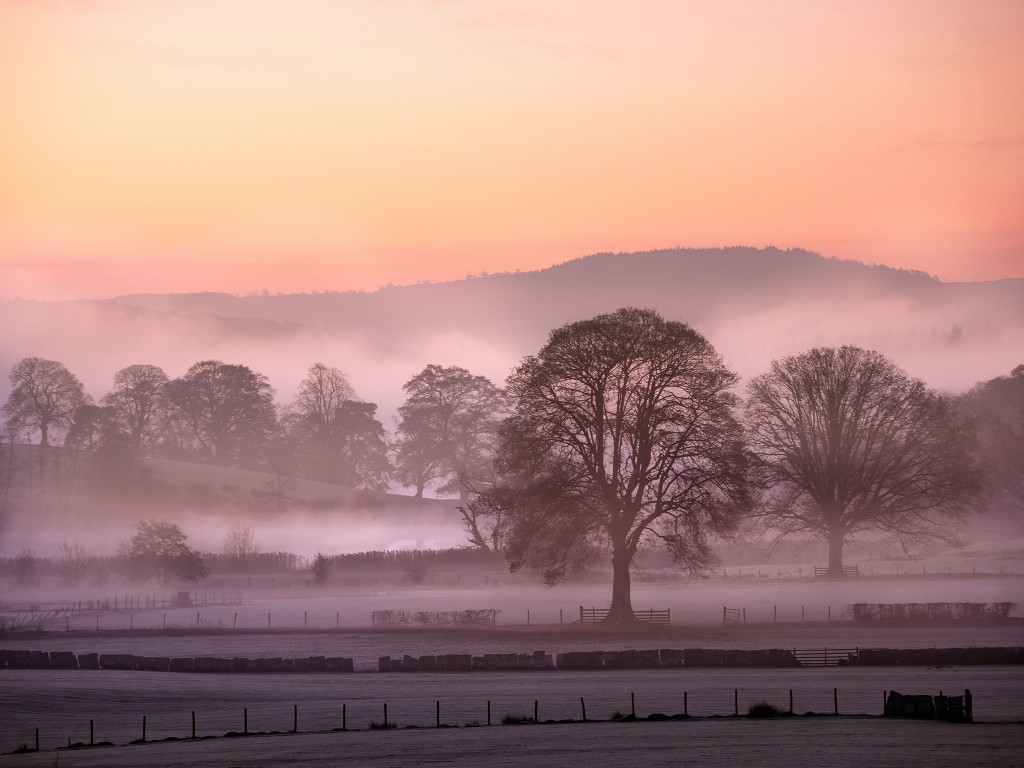 Misty Morning near Elterwater