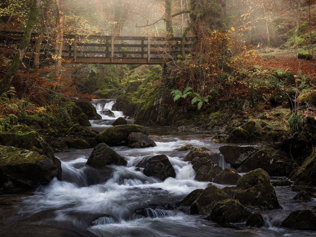 The Bridge, Autumn-Rydal Water
