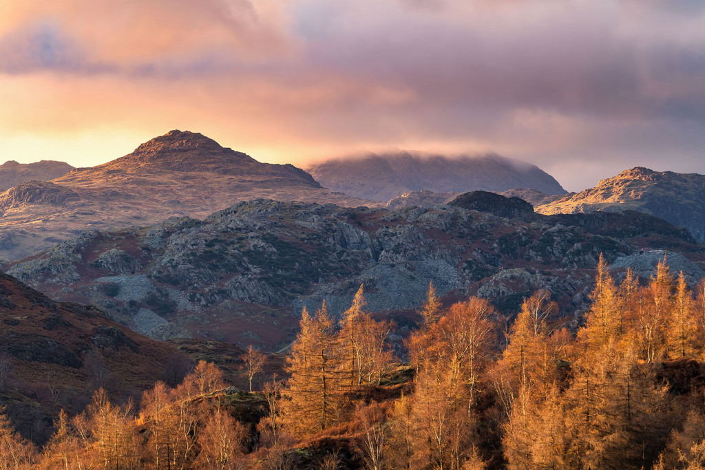 Golden Light on Holm Fell-Tarn Hows