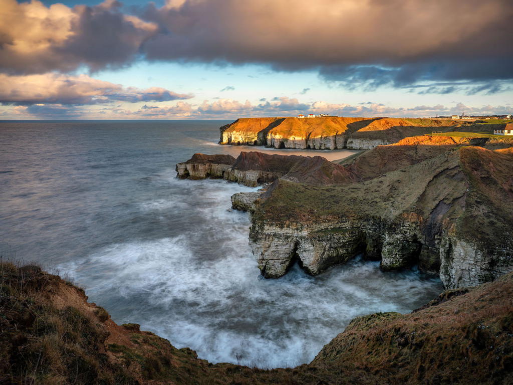 Little Thornwick Clifftop-Flamborough Head