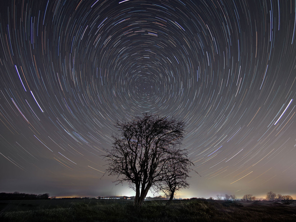 Startrails over the Tree