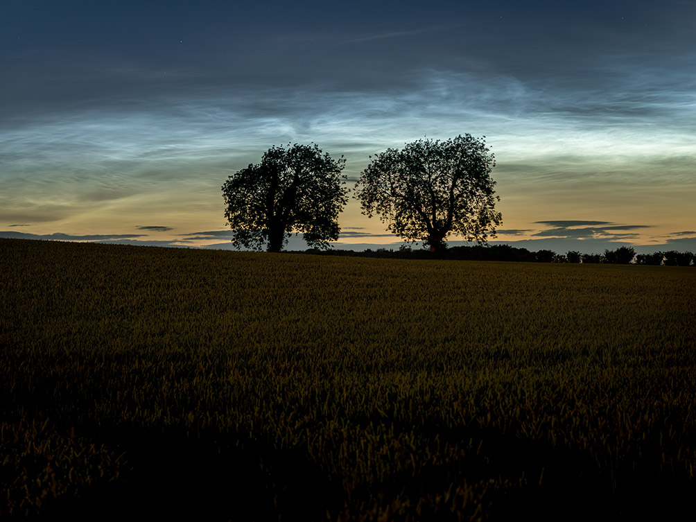 Noctilucent-Field-4-28.6.26